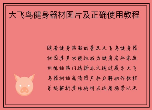 大飞鸟健身器材图片及正确使用教程