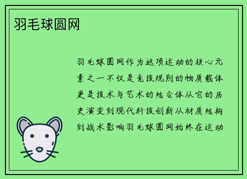 羽毛球圆网